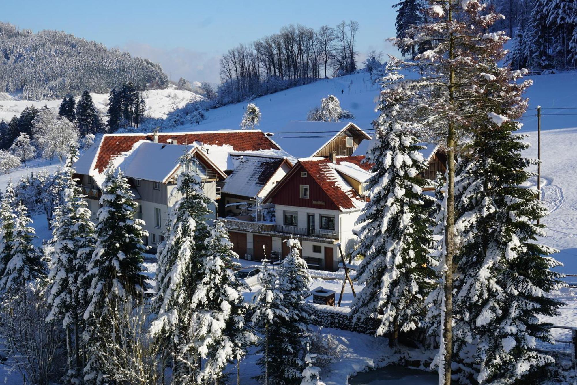 Muellerleile Hof Villa Haslach im Kinzigtal Ngoại thất bức ảnh