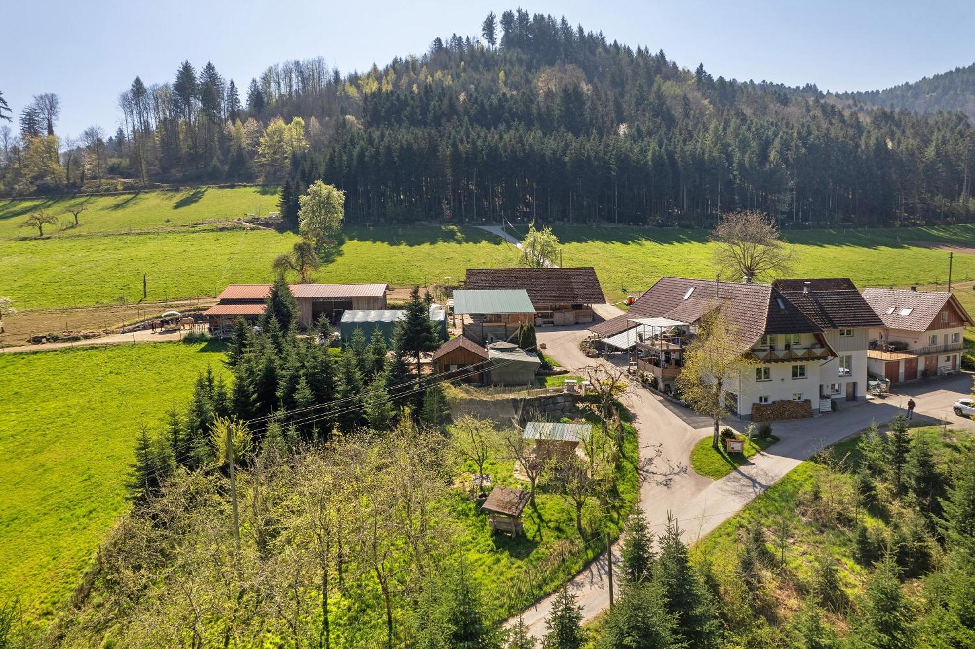 Muellerleile Hof Villa Haslach im Kinzigtal Ngoại thất bức ảnh